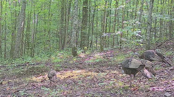a kitchen with stainless steel appliances granite countertop a sink and a refrigerator