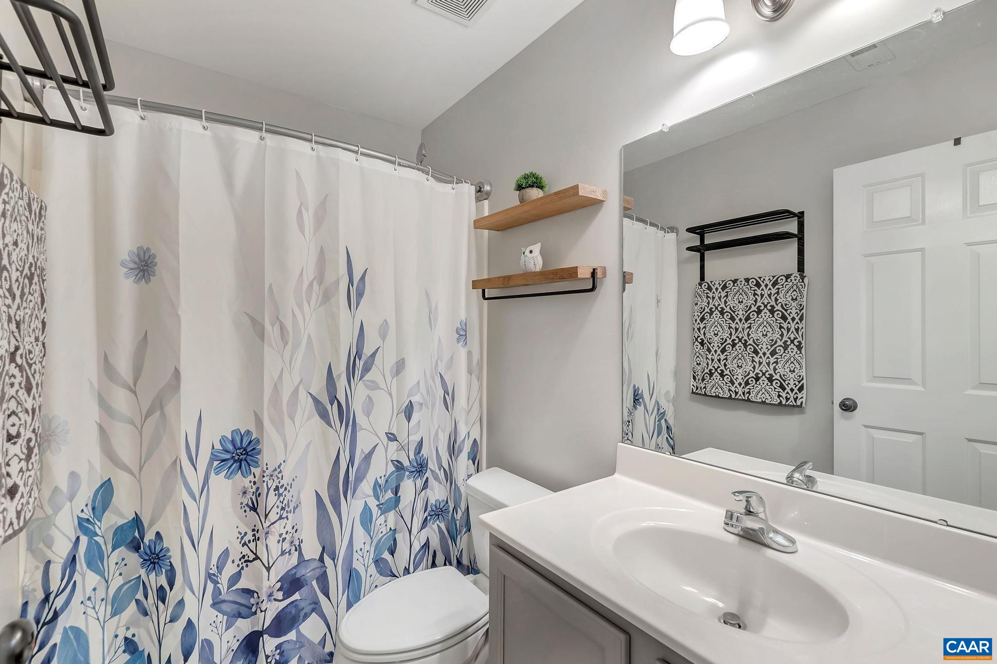 57 Amethyst Road Palmyra, VA 22963 - Photo 23 of 36 a bathroom with a sink toilet and shower