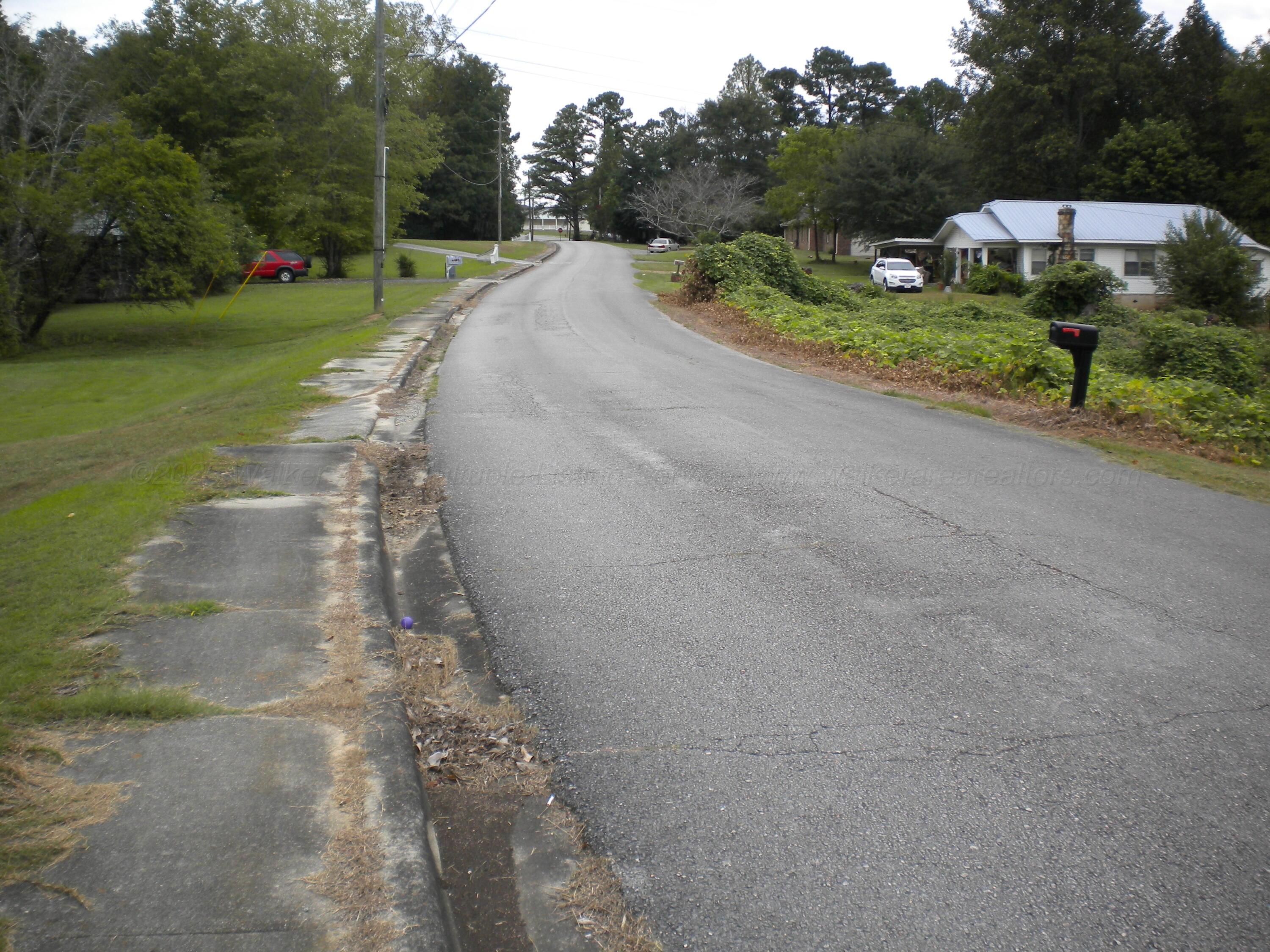 268 Old School Road Double Springs, AL 35553 - Photo 3 of 7 Street looking West