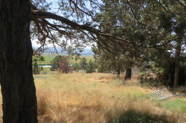 28177 Drews Road Chiloquin, OR 97624 - Photo 6 of 15 IMG_3029