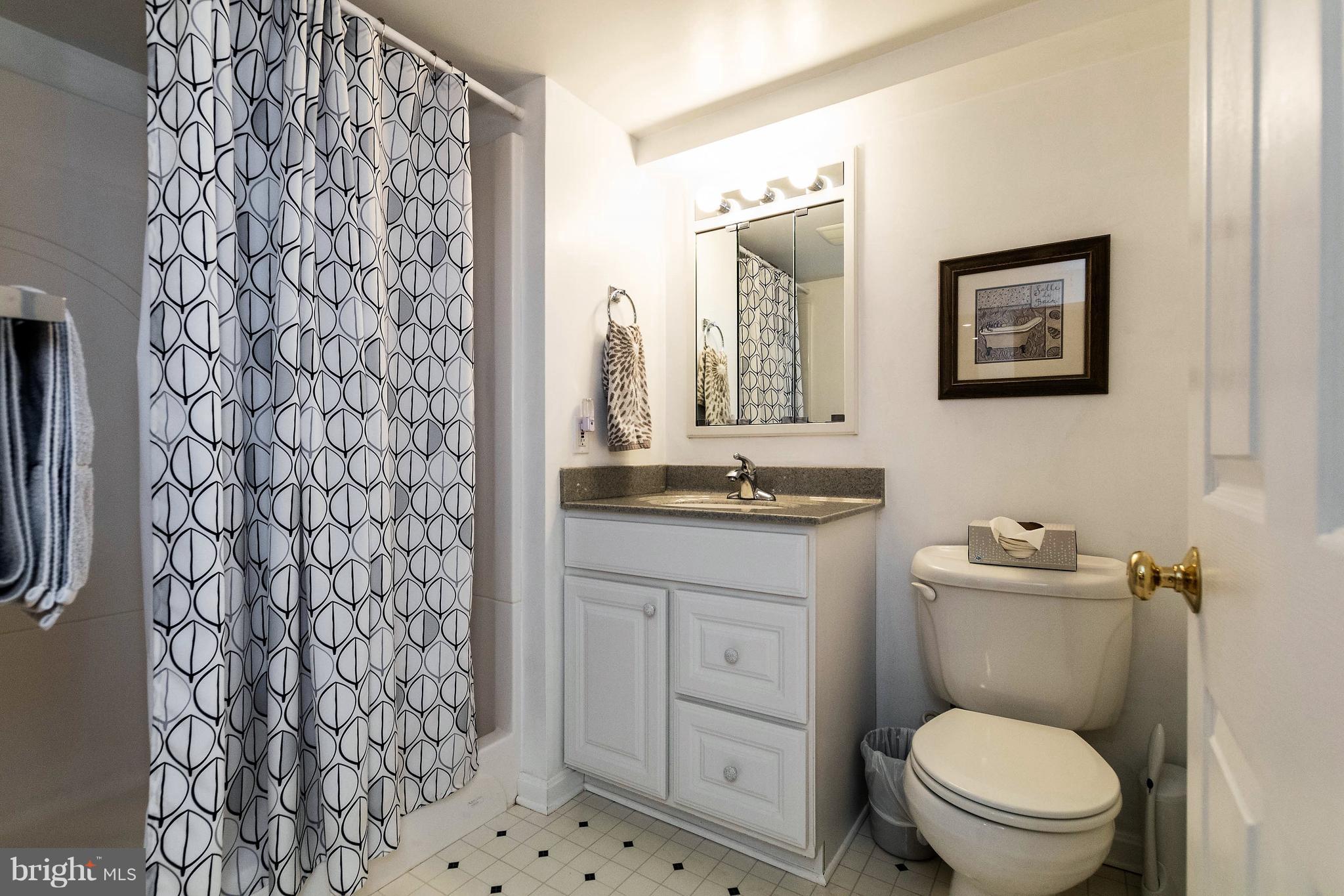 221 Ridgeway Road Catonsville, MD 21228 - Photo 39 of 60 Full updated bath on lower level