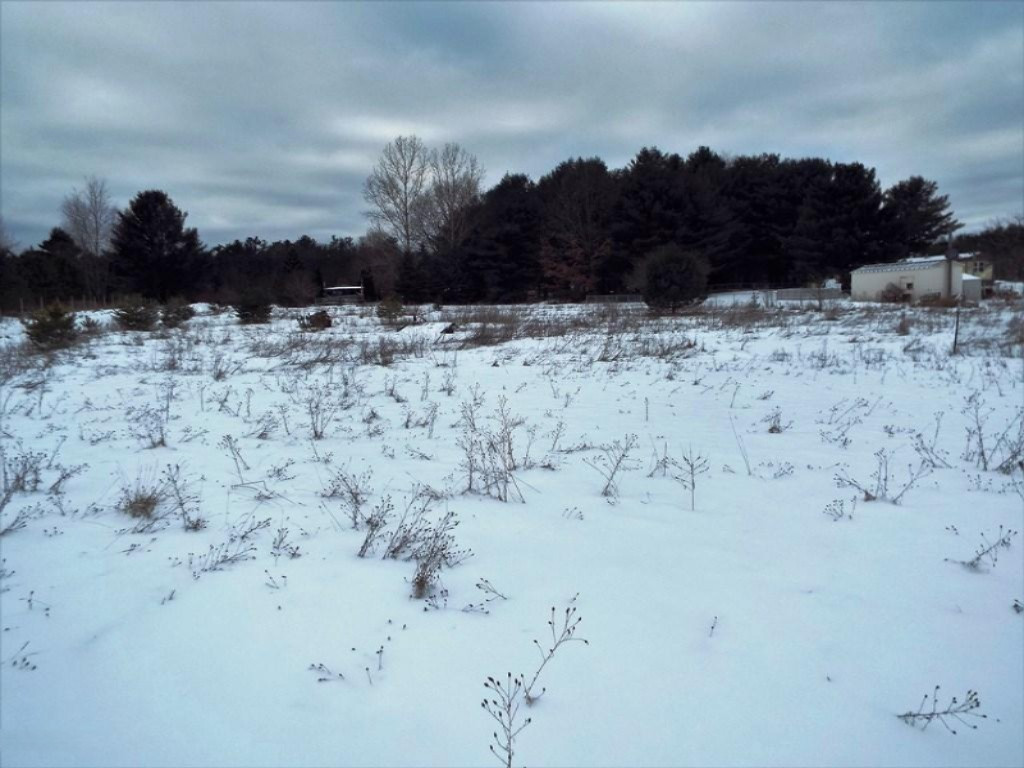 9441 Bailey Road Howard City, MI 49329 - Photo 13 of 13 Backyard