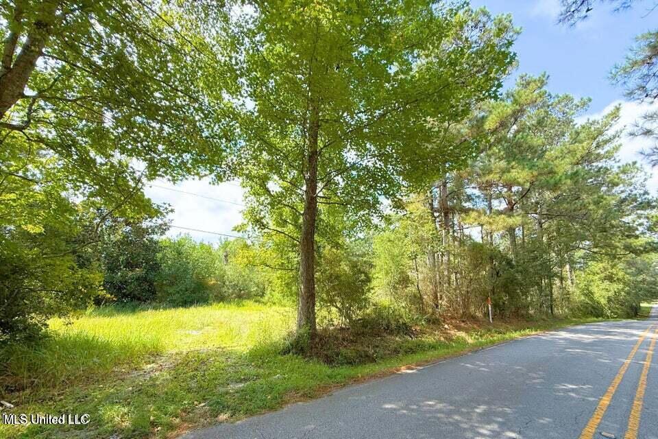 8405 Wire Road Vancleave, MS 39565 - Photo 4 of 9 20250910055457596247000000-o