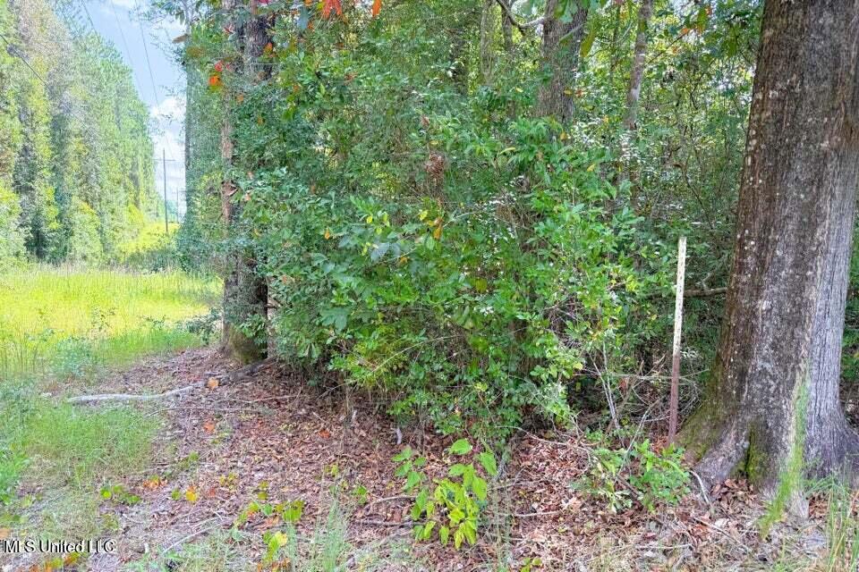 8405 Wire Road Vancleave, MS 39565 - Photo 7 of 9 20250910055623600390000000-o
