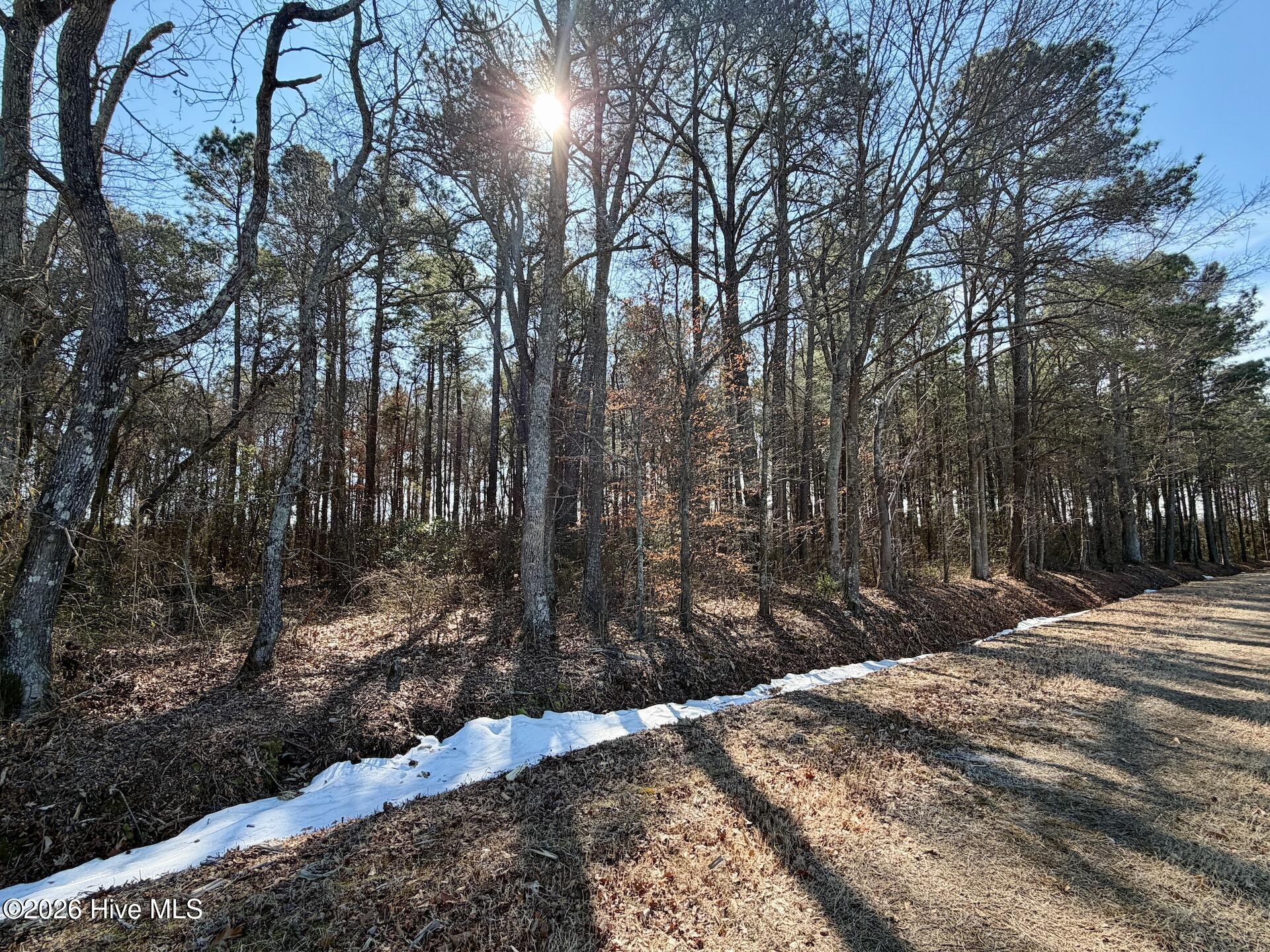 0 Sandy Ridge Road Tyner, NC 27980 - Photo 12 of 43 11