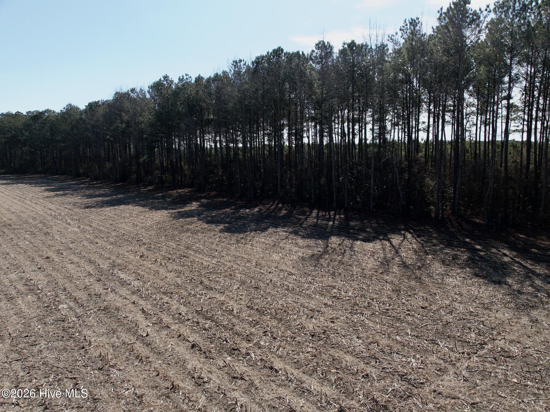 0 Sandy Ridge Road Tyner, NC 27980 - Photo 13 of 43 12