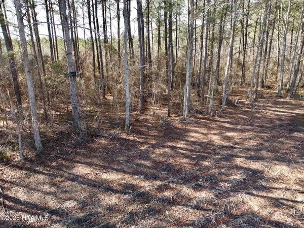 $272,175 | 0 Sandy Ridge Road, Tyner, NC 27980