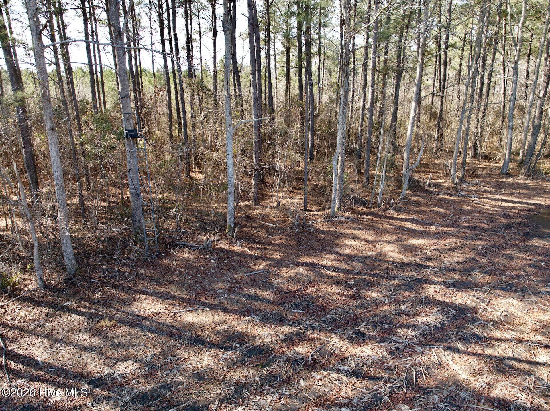 0 Sandy Ridge Road Tyner, NC 27980 - Photo 14 of 43 13