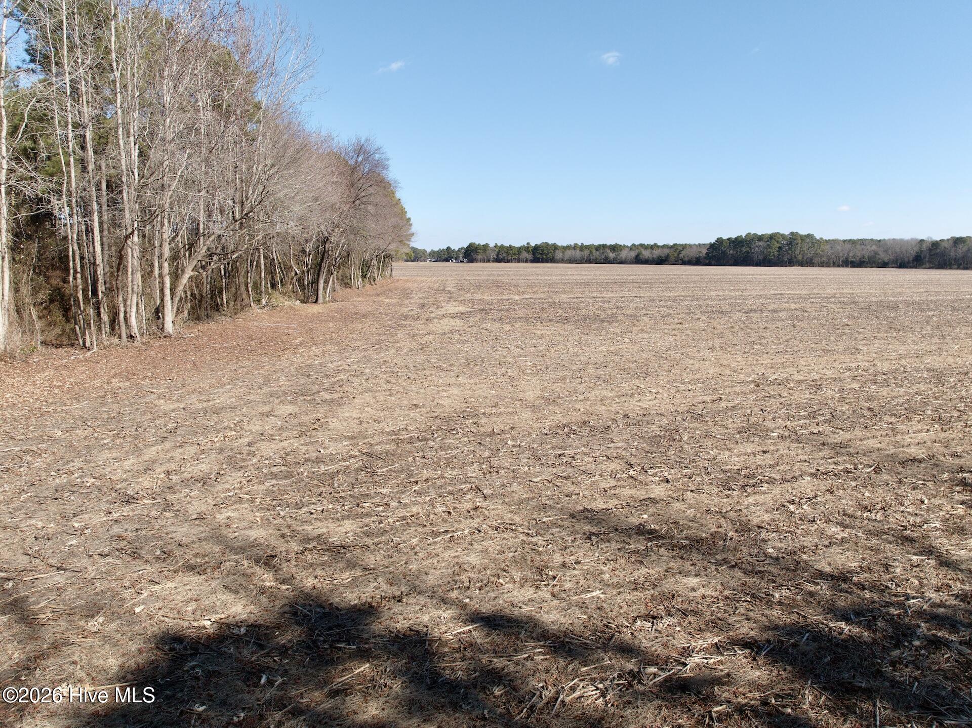 0 Sandy Ridge Road Tyner, NC 27980 - Photo 16 of 43 14
