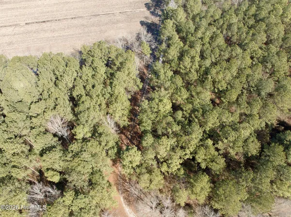 $272,175 | 0 Sandy Ridge Road, Tyner, NC 27980