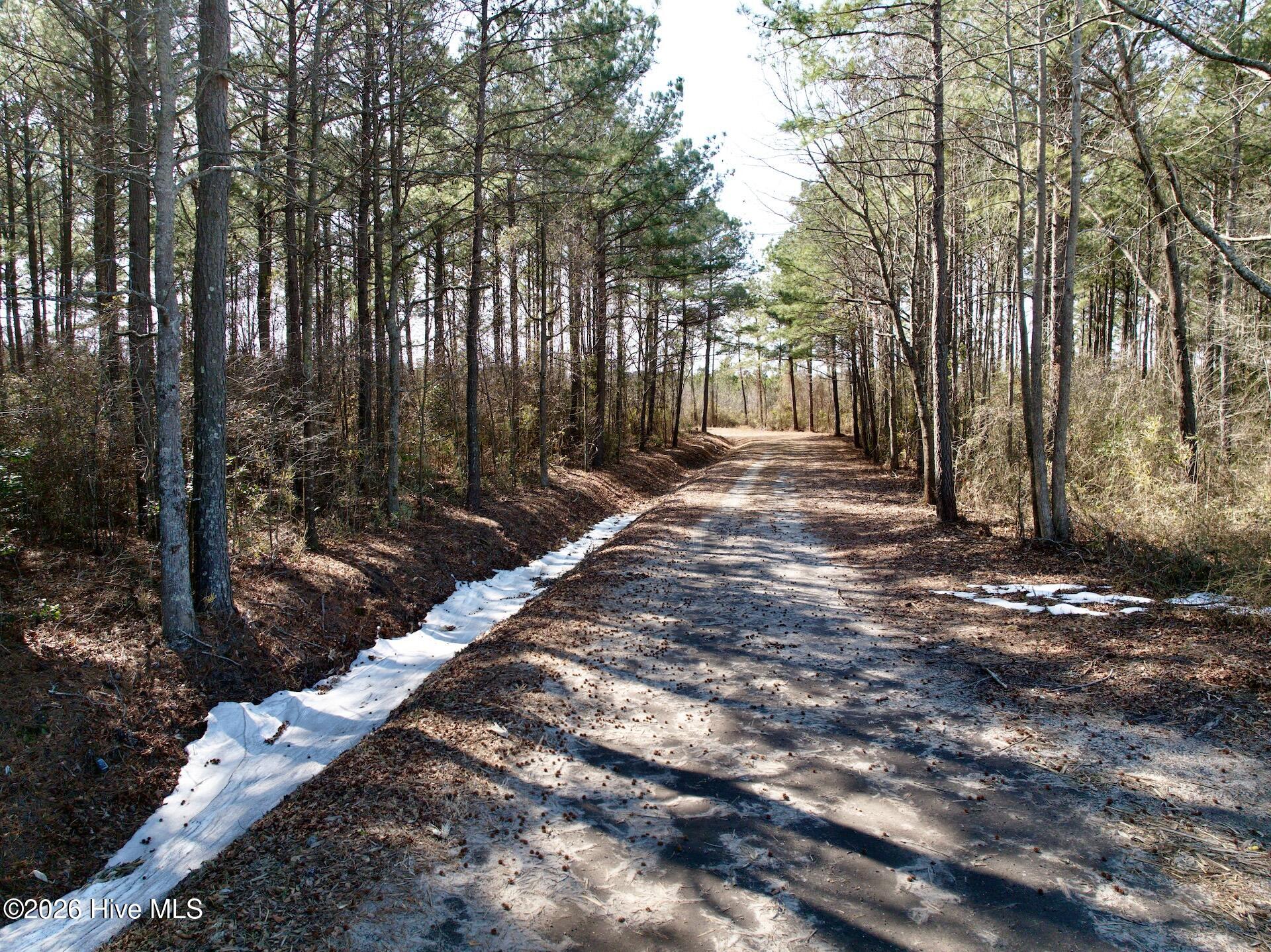 0 Sandy Ridge Road Tyner, NC 27980 - Photo 19 of 43 Chowan Smith - 37