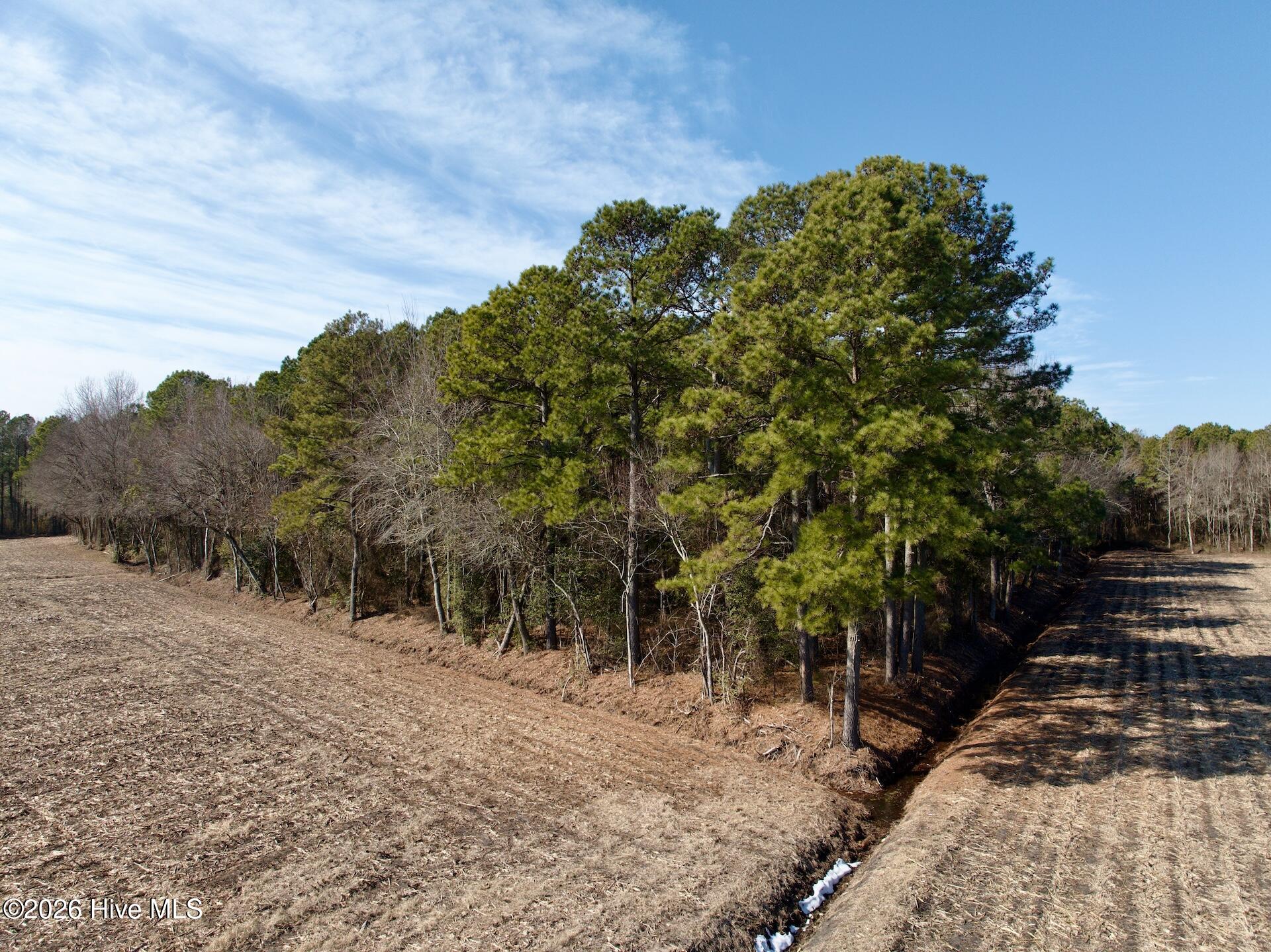 0 Sandy Ridge Road Tyner, NC 27980 - Photo 20 of 43 Chowan Smith - 36