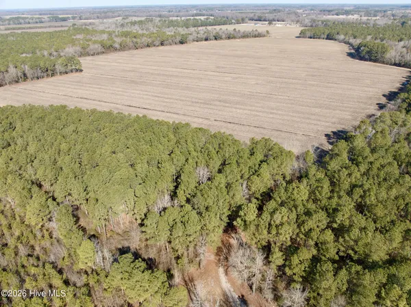 $272,175 | 0 Sandy Ridge Road, Tyner, NC 27980