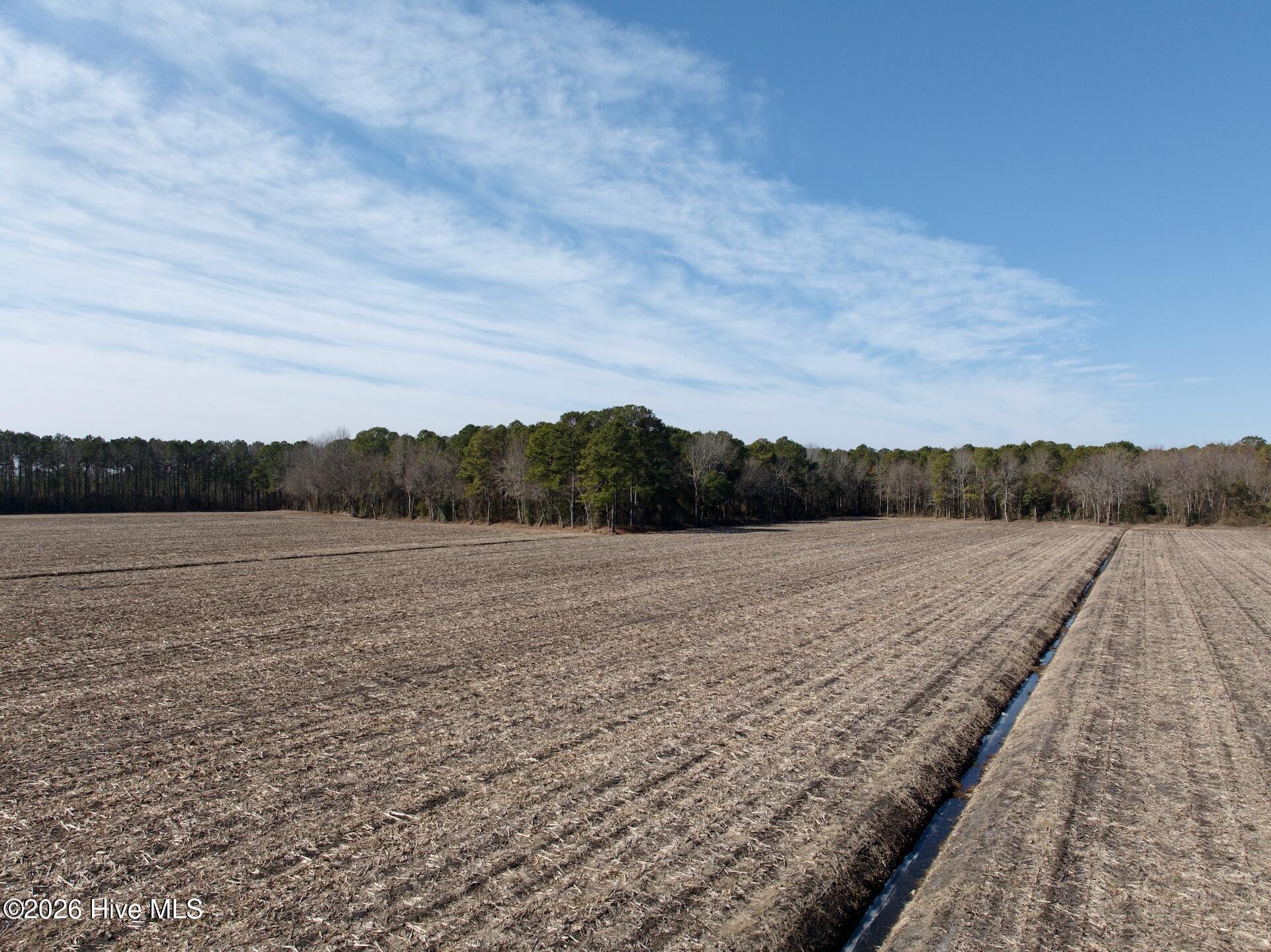 0 Sandy Ridge Road Tyner, NC 27980 - Photo 21 of 43 Chowan Smith - 35