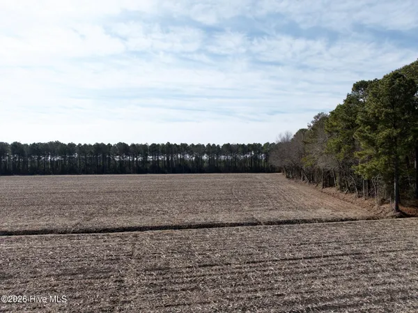 $272,175 | 0 Sandy Ridge Road, Tyner, NC 27980