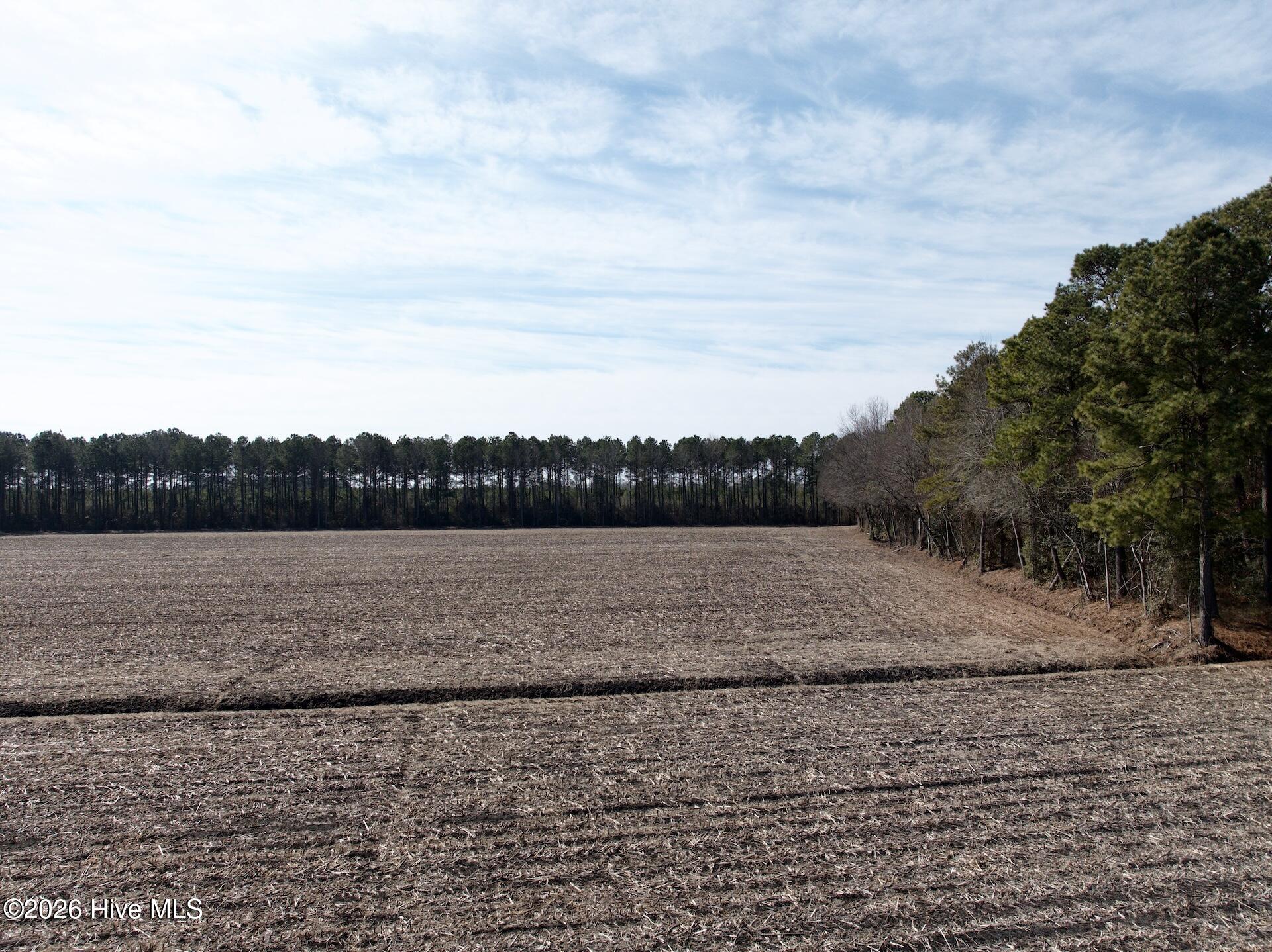 0 Sandy Ridge Road Tyner, NC 27980 - Photo 22 of 43 Chowan Smith - 34
