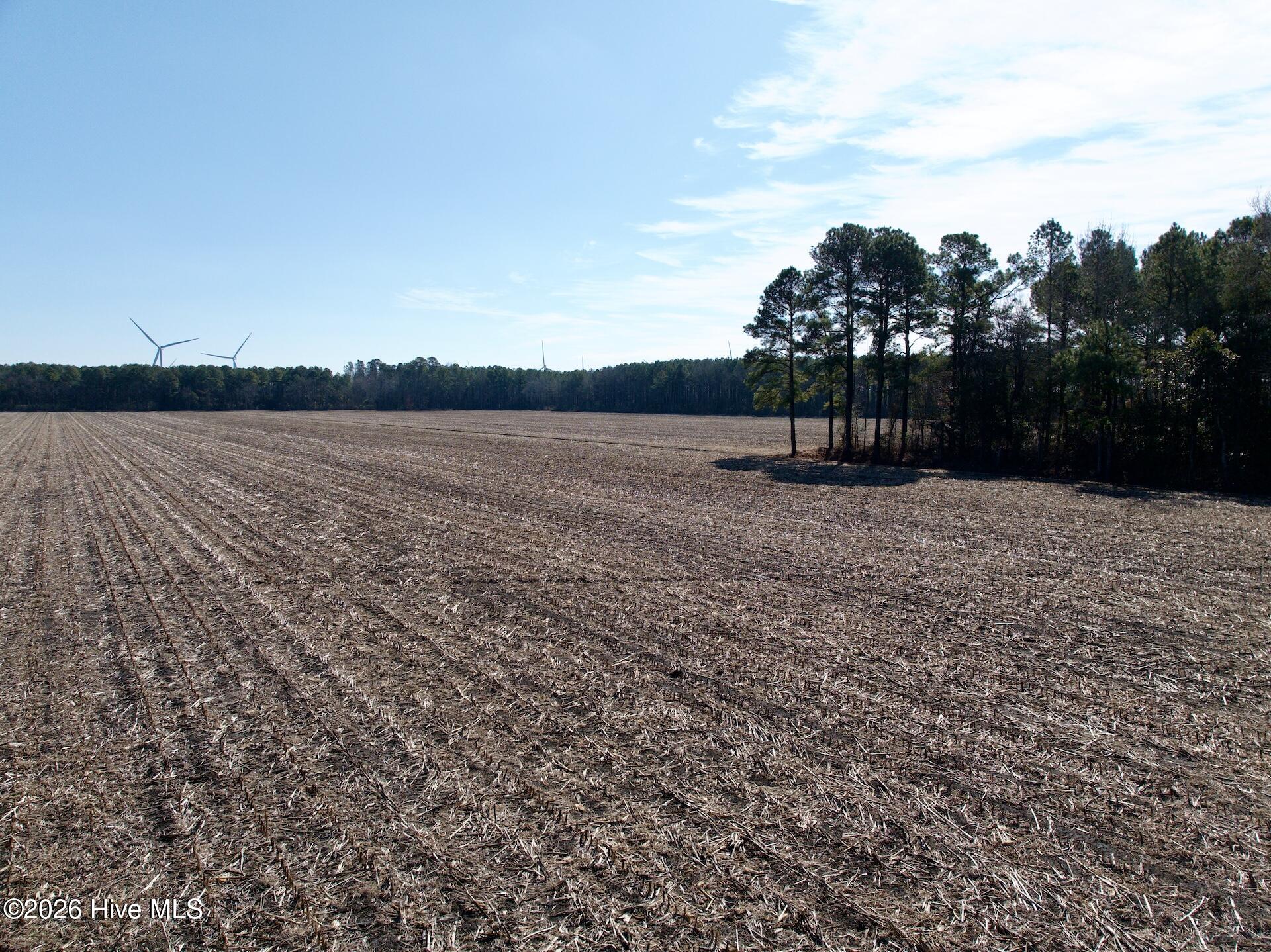0 Sandy Ridge Road Tyner, NC 27980 - Photo 23 of 43 Chowan Smith - 33