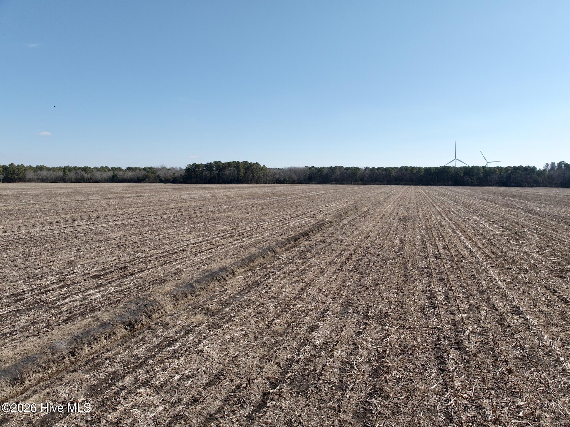 0 Sandy Ridge Road Tyner, NC 27980 - Photo 24 of 43 Chowan Smith - 32