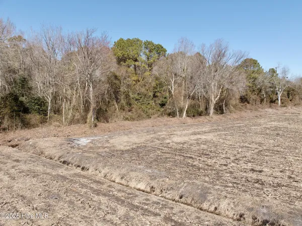 $272,175 | 0 Sandy Ridge Road, Tyner, NC 27980