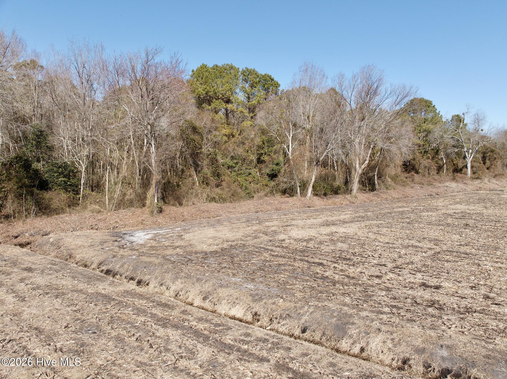 0 Sandy Ridge Road Tyner, NC 27980 - Photo 25 of 43 Chowan Smith - 31