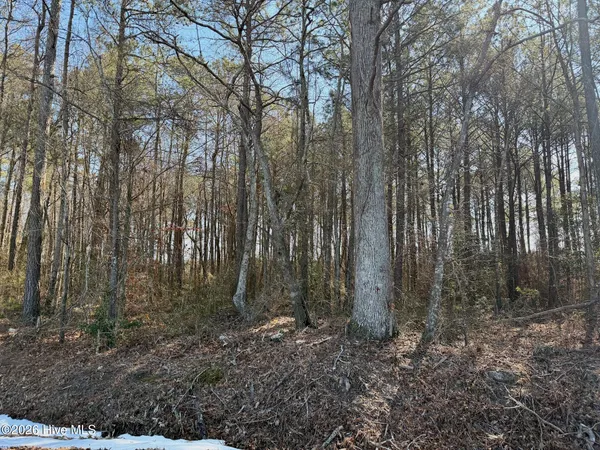 $272,175 | 0 Sandy Ridge Road, Tyner, NC 27980