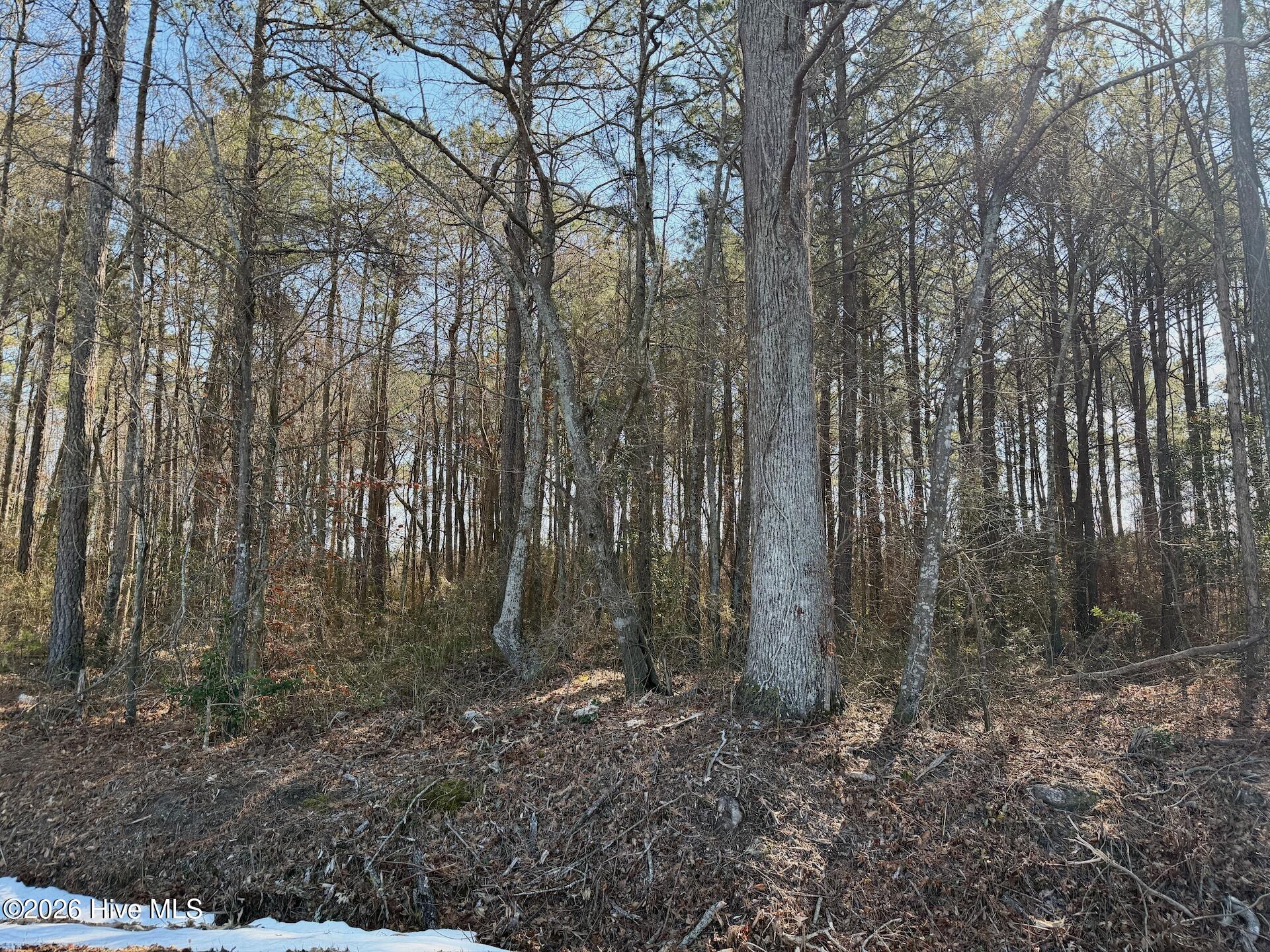 0 Sandy Ridge Road Tyner, NC 27980 - Photo 27 of 43 Chowan Smith - 23