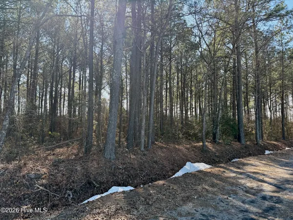 $272,175 | 0 Sandy Ridge Road, Tyner, NC 27980