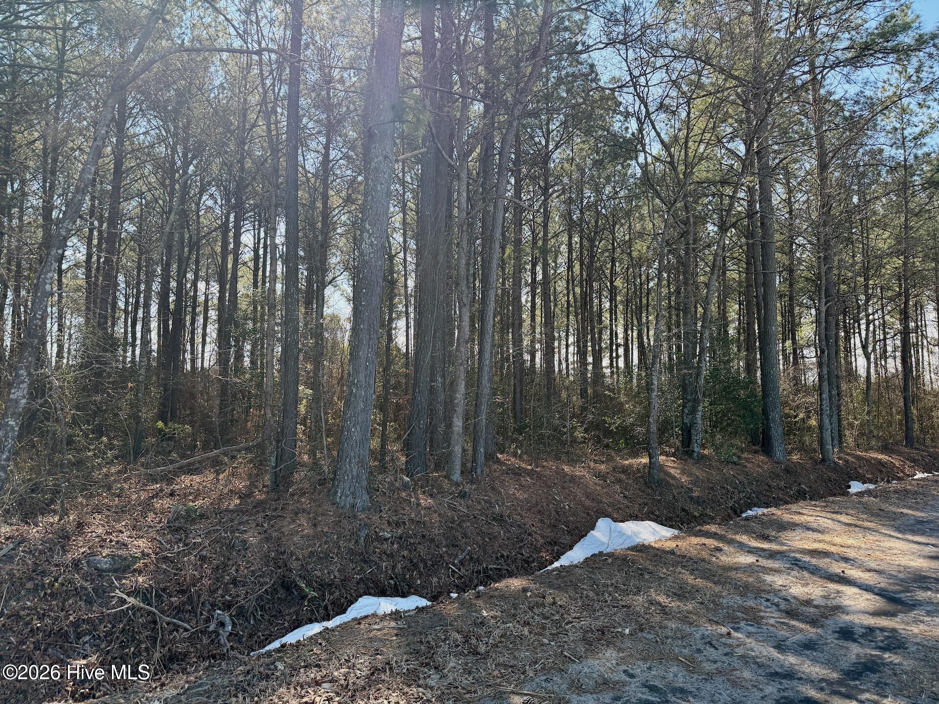 0 Sandy Ridge Road Tyner, NC 27980 - Photo 28 of 43 Chowan Smith - 22