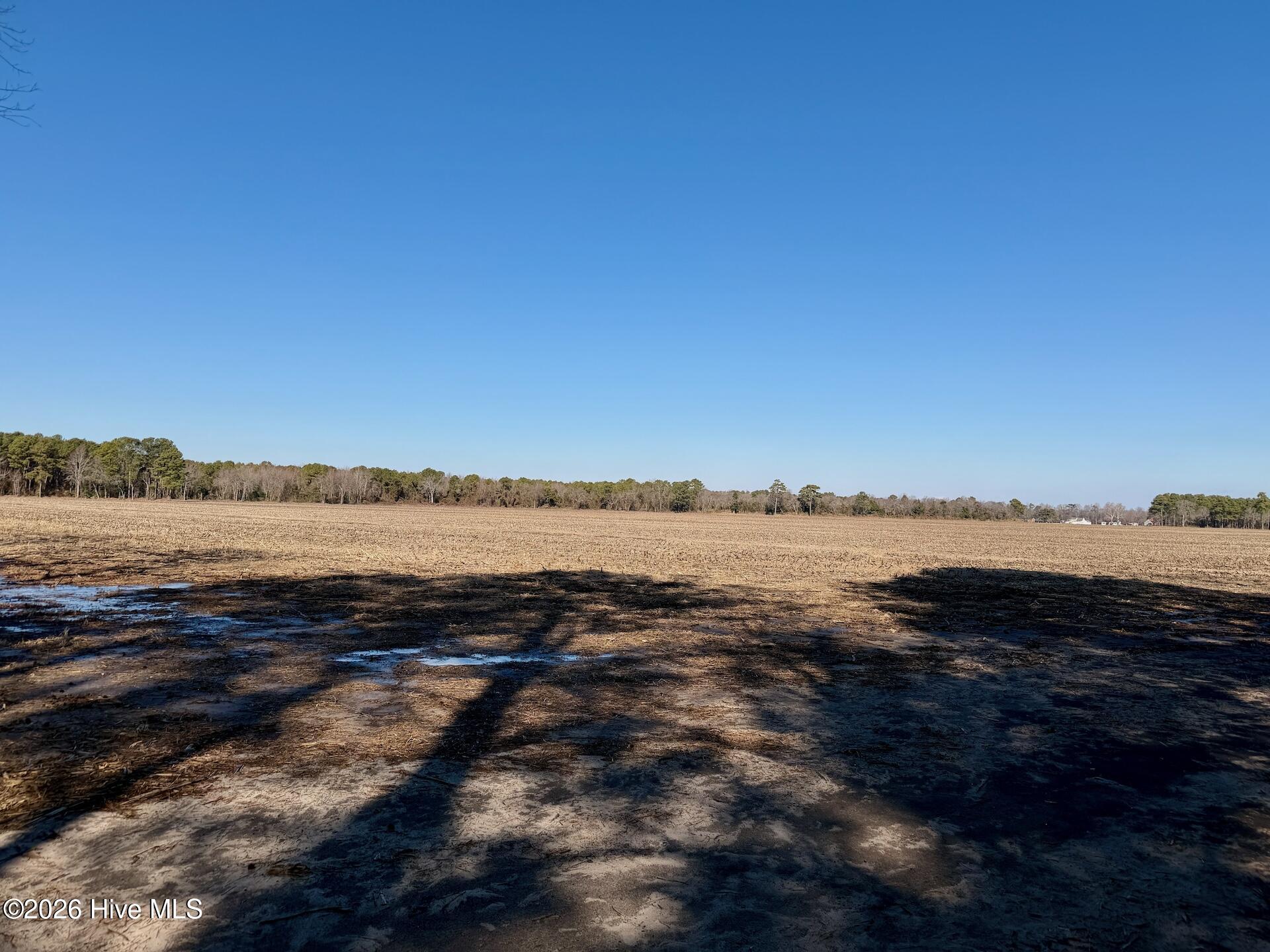 0 Sandy Ridge Road Tyner, NC 27980 - Photo 29 of 43 Chowan Smith - 20