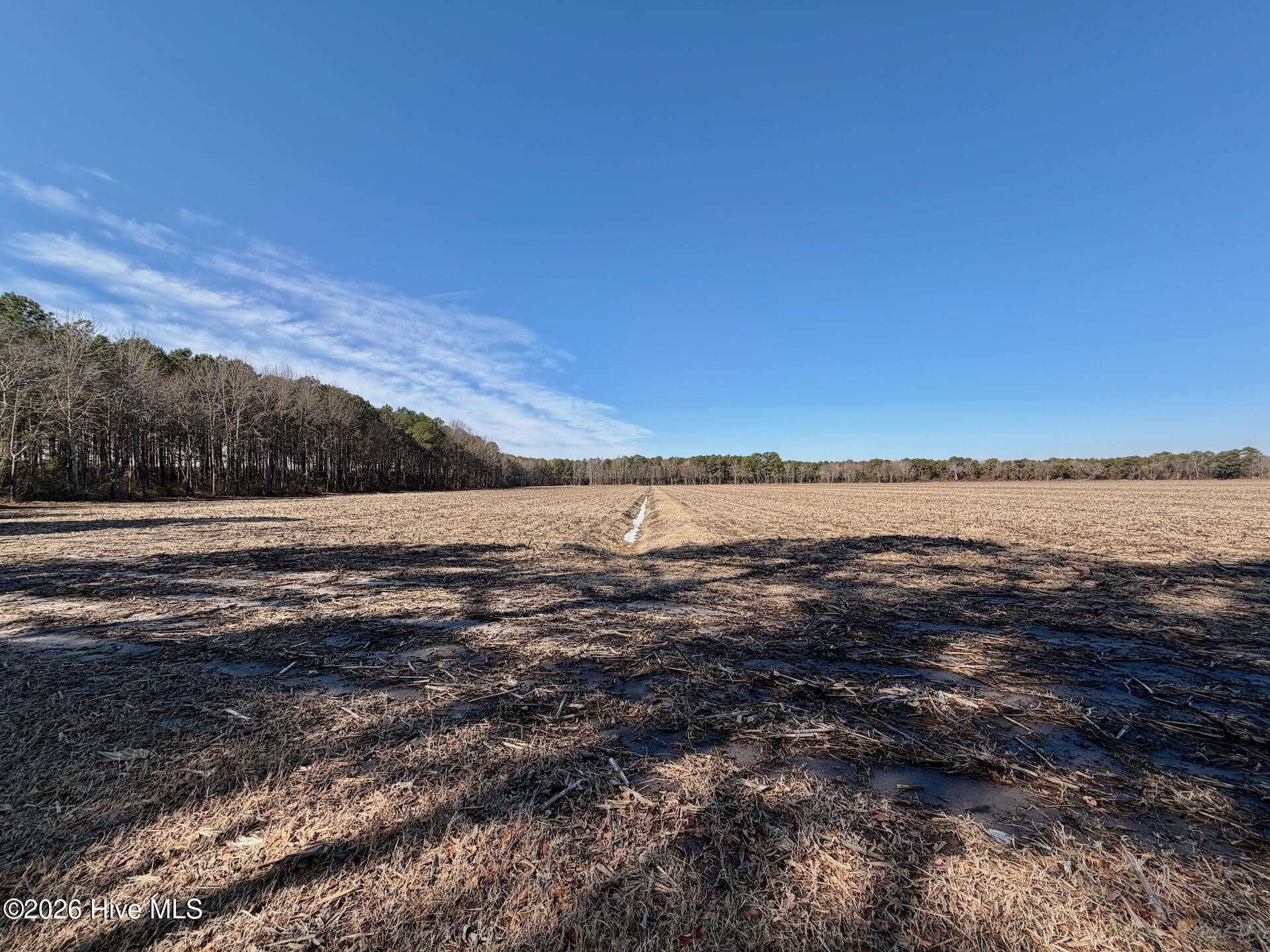 0 Sandy Ridge Road Tyner, NC 27980 - Photo 3 of 43 3