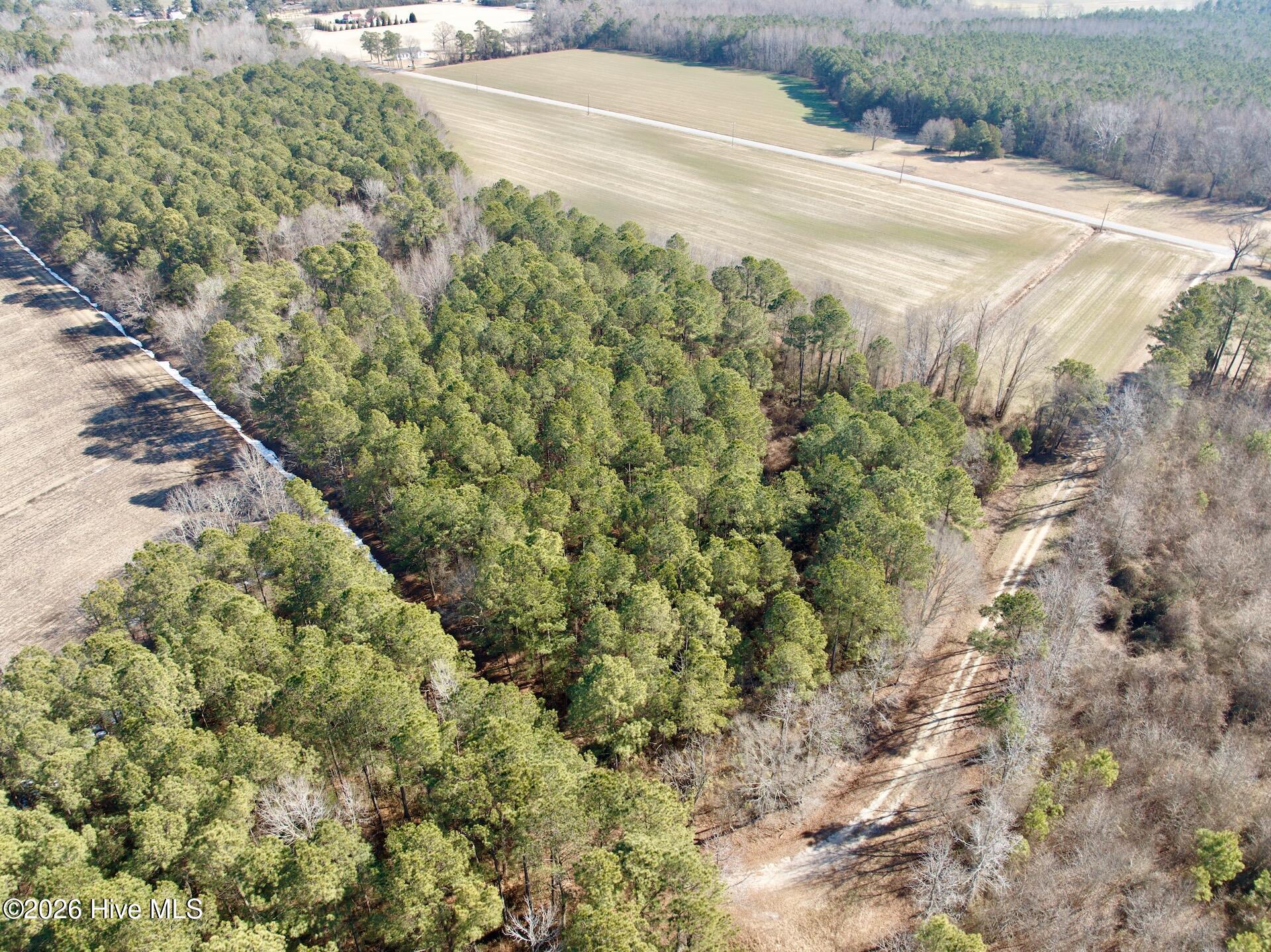 0 Sandy Ridge Road Tyner, NC 27980 - Photo 32 of 43 Chowan Smith - 12