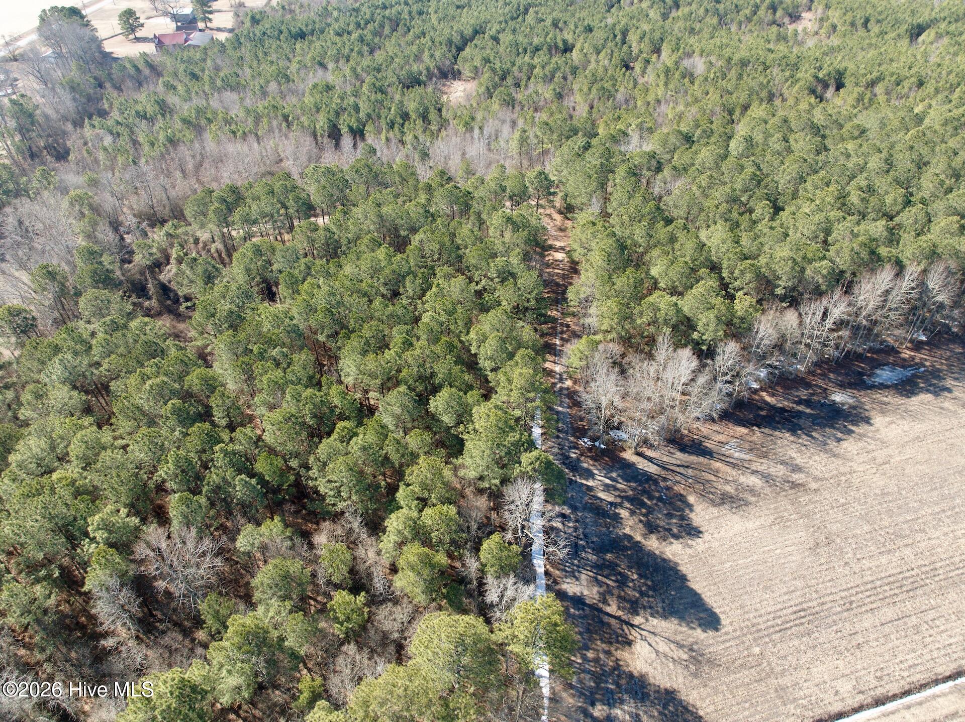 0 Sandy Ridge Road Tyner, NC 27980 - Photo 33 of 43 Chowan Smith - 11