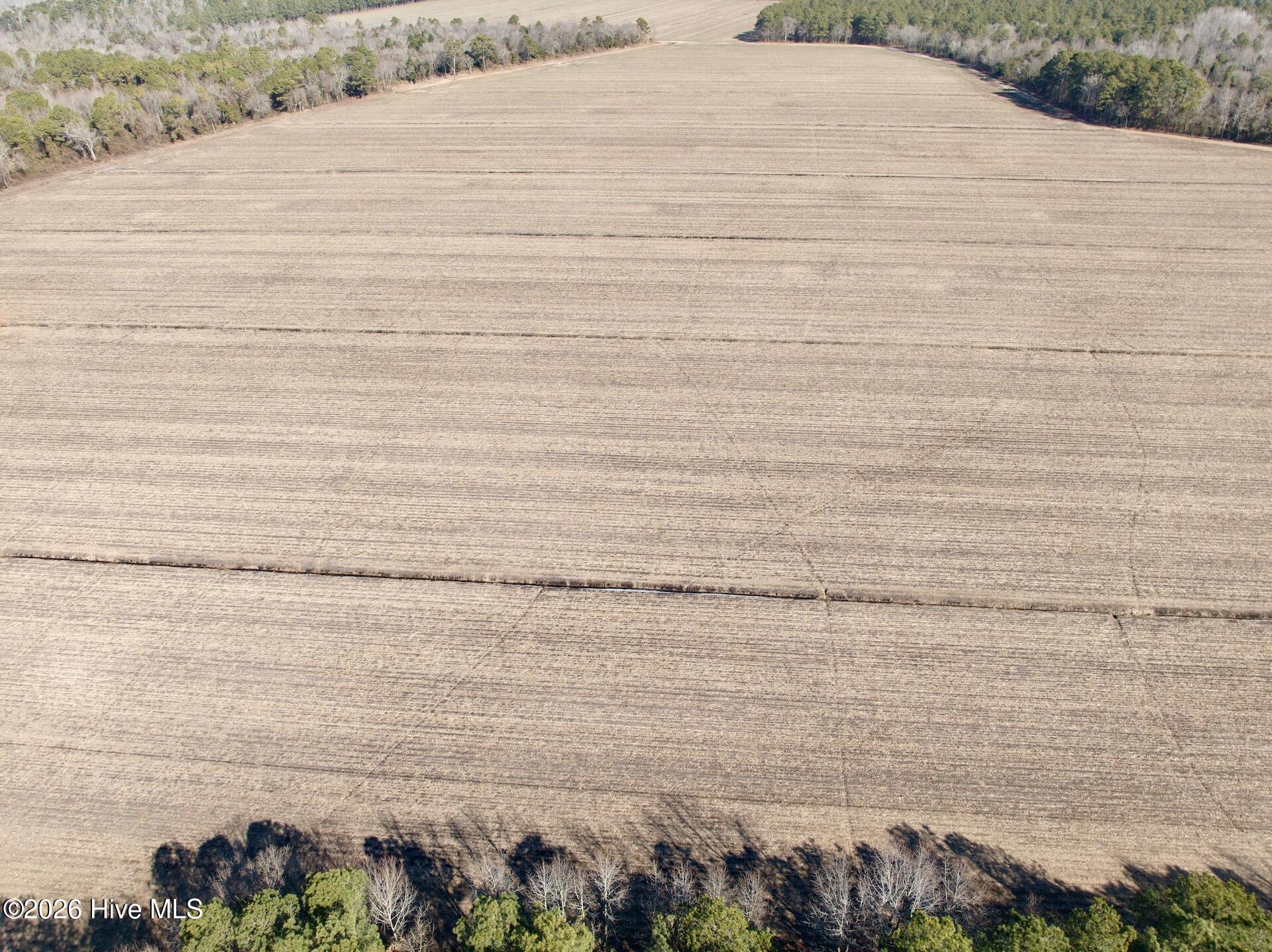 0 Sandy Ridge Road Tyner, NC 27980 - Photo 34 of 43 Chowan Smith - 8