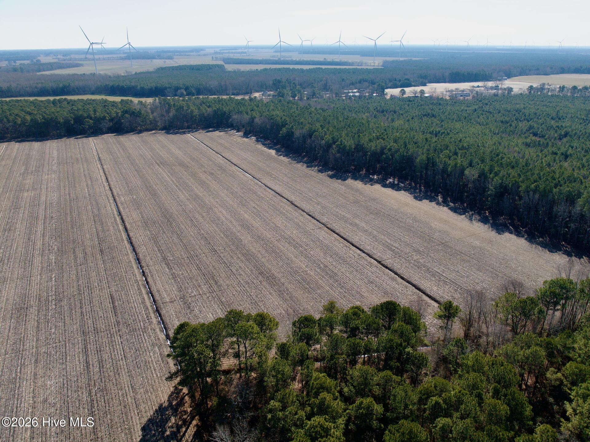 0 Sandy Ridge Road Tyner, NC 27980 - Photo 35 of 43 Chowan Smith - 6