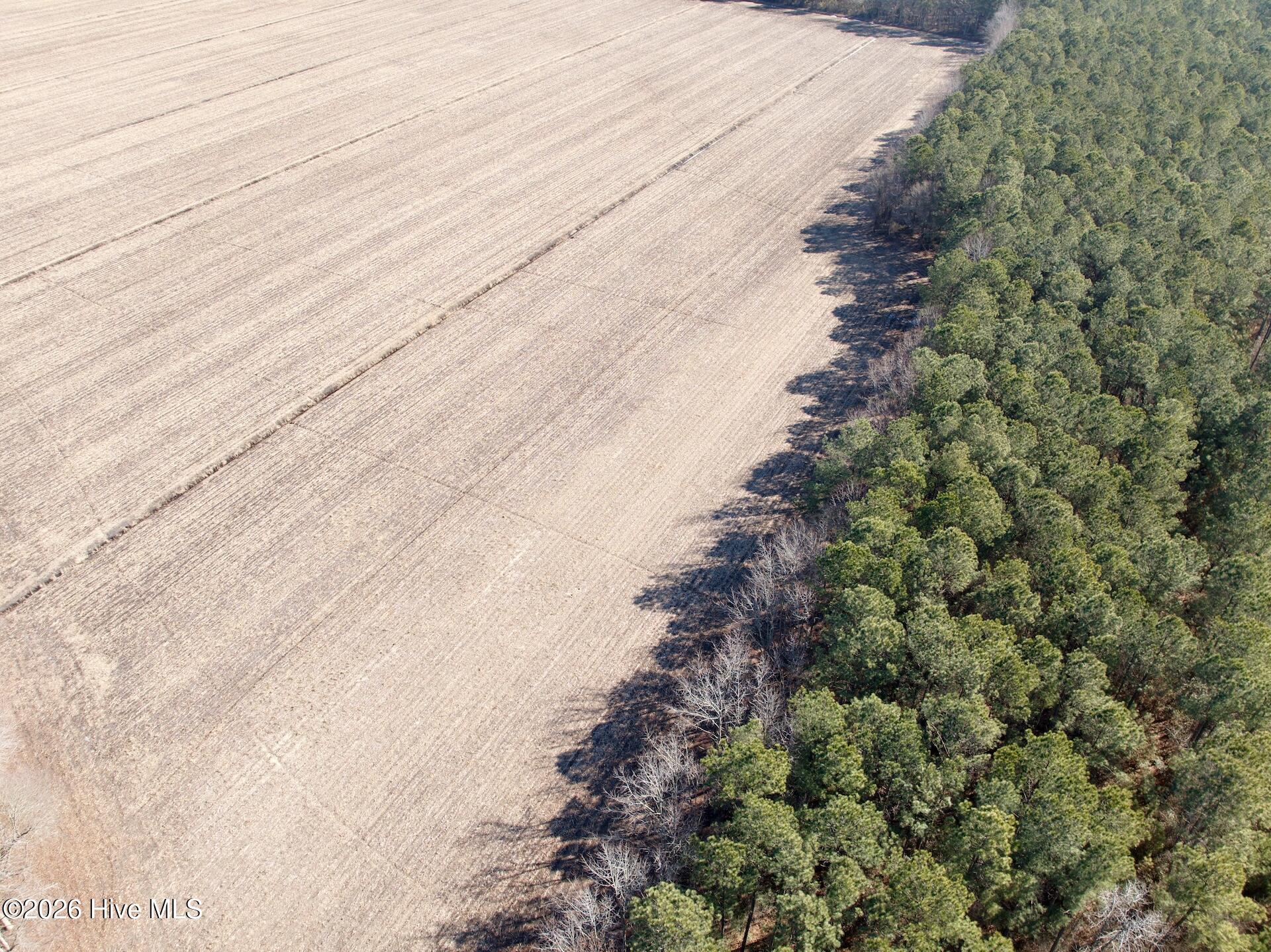 0 Sandy Ridge Road Tyner, NC 27980 - Photo 37 of 43 Chowan Smith - 4