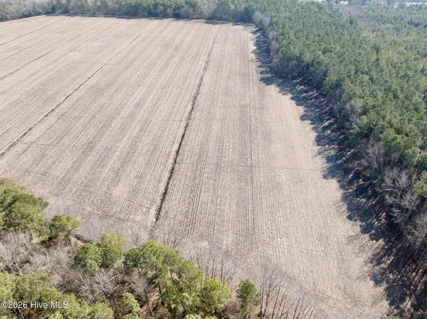 $272,175 | 0 Sandy Ridge Road, Tyner, NC 27980