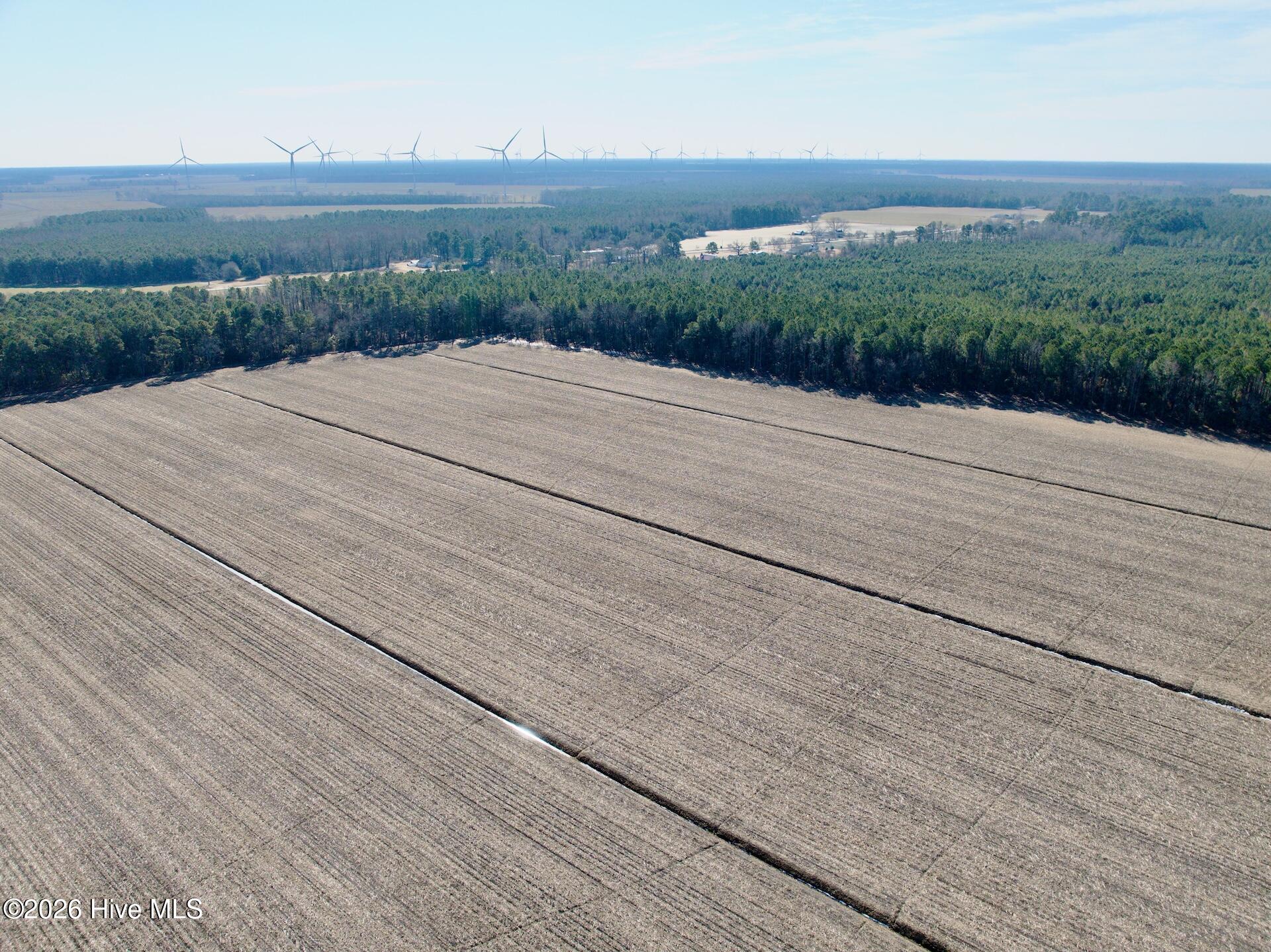0 Sandy Ridge Road Tyner, NC 27980 - Photo 39 of 43 Chowan Smith - 1