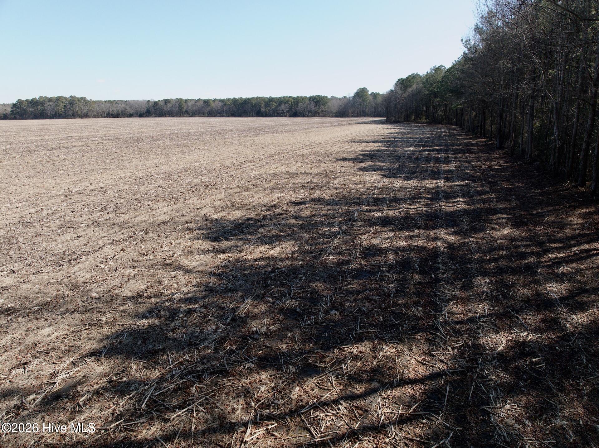 0 Sandy Ridge Road Tyner, NC 27980 - Photo 4 of 43 4