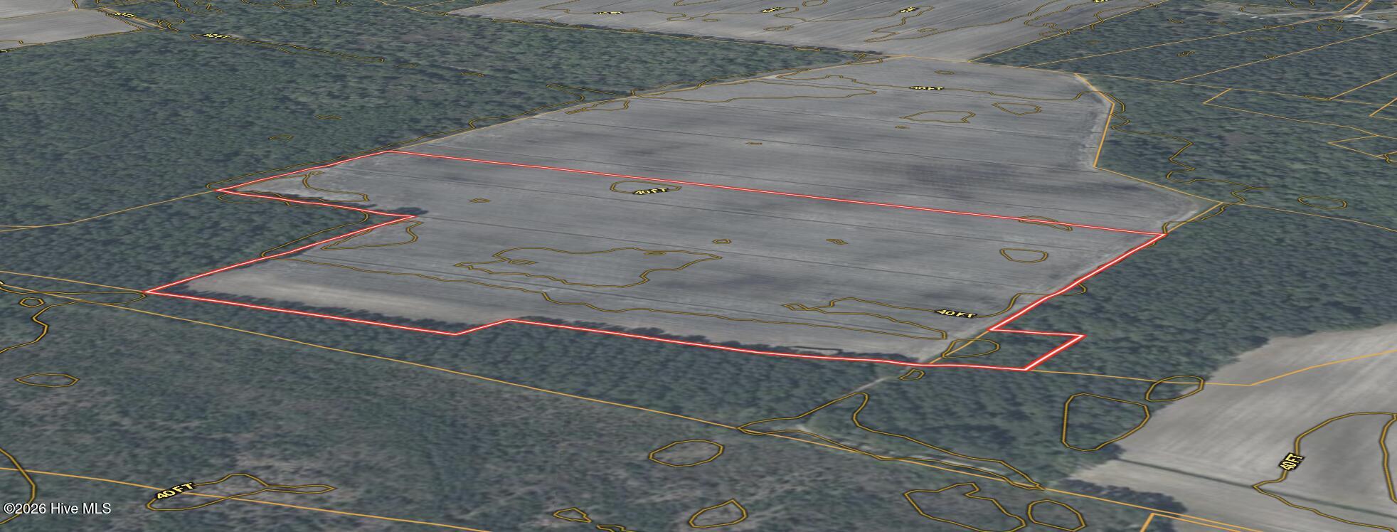 0 Sandy Ridge Road Tyner, NC 27980 - Photo 42 of 43 Aerial 3D