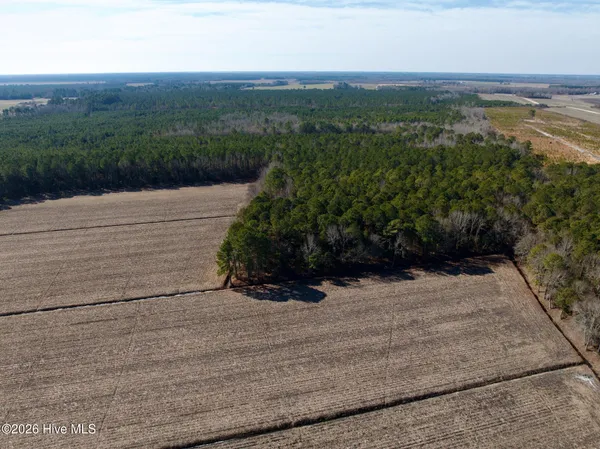 $272,175 | 0 Sandy Ridge Road, Tyner, NC 27980