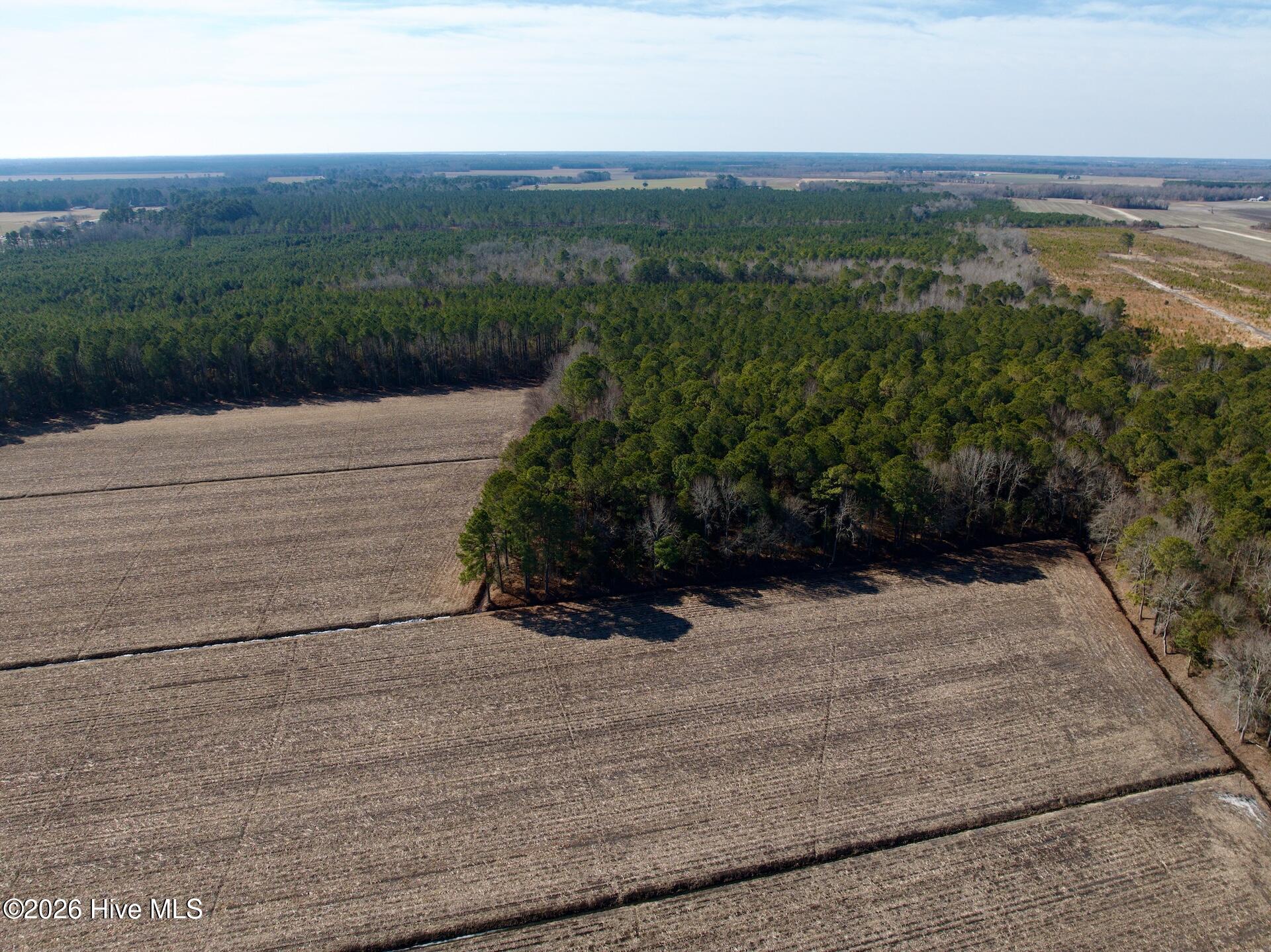 0 Sandy Ridge Road Tyner, NC 27980 - Photo 5 of 43 5
