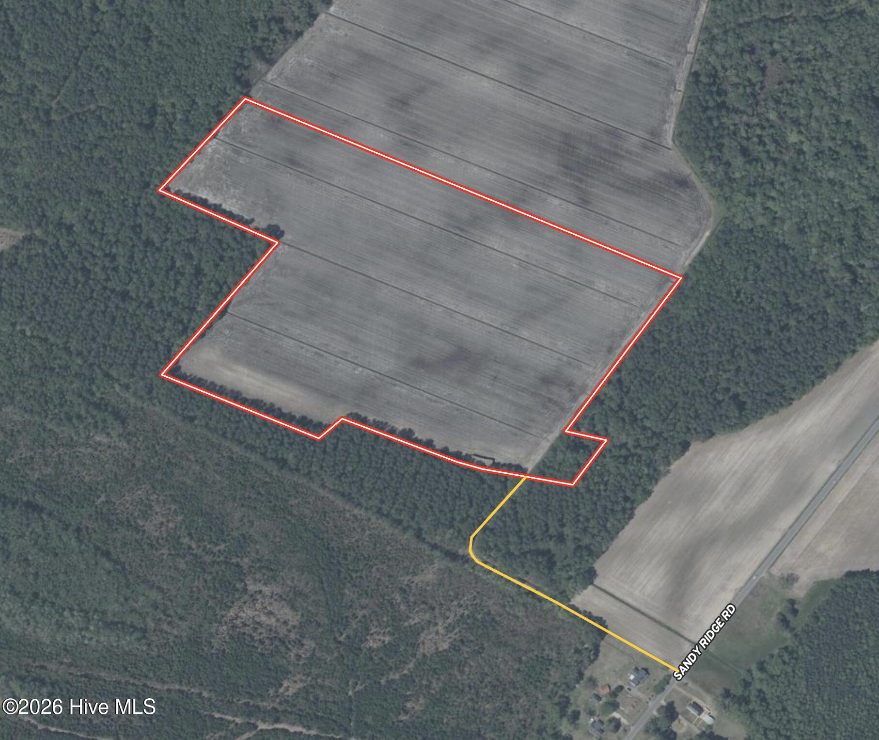 0 Sandy Ridge Road Tyner, NC 27980 - Photo 6 of 43 Aerial