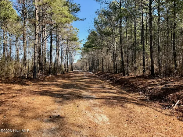 $272,175 | 0 Sandy Ridge Road, Tyner, NC 27980