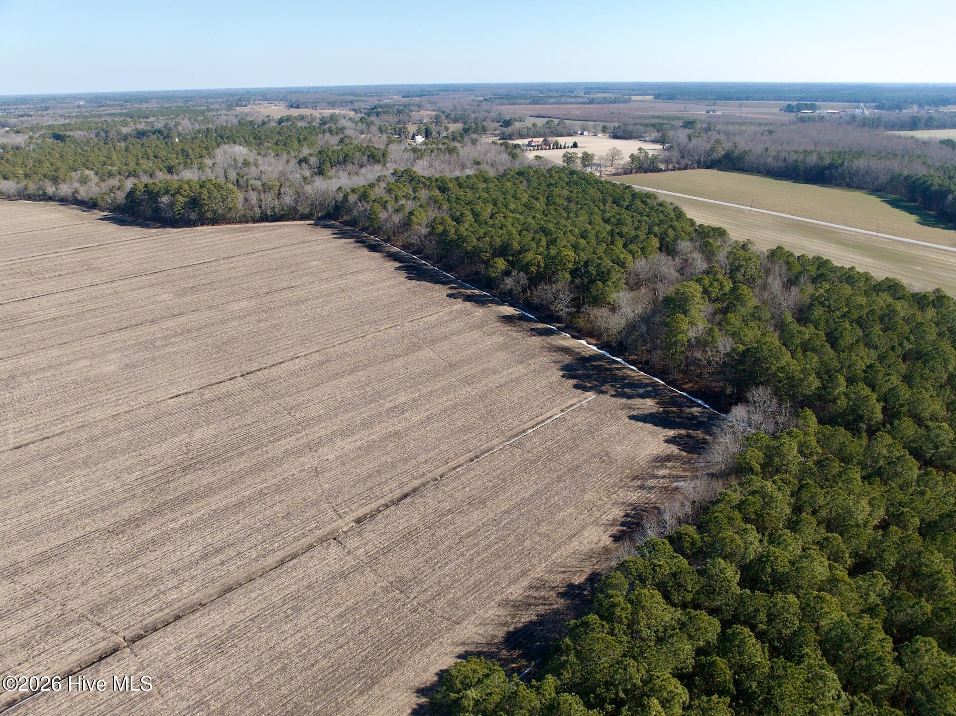 0 Sandy Ridge Road Tyner, NC 27980 - Photo 8 of 43 7