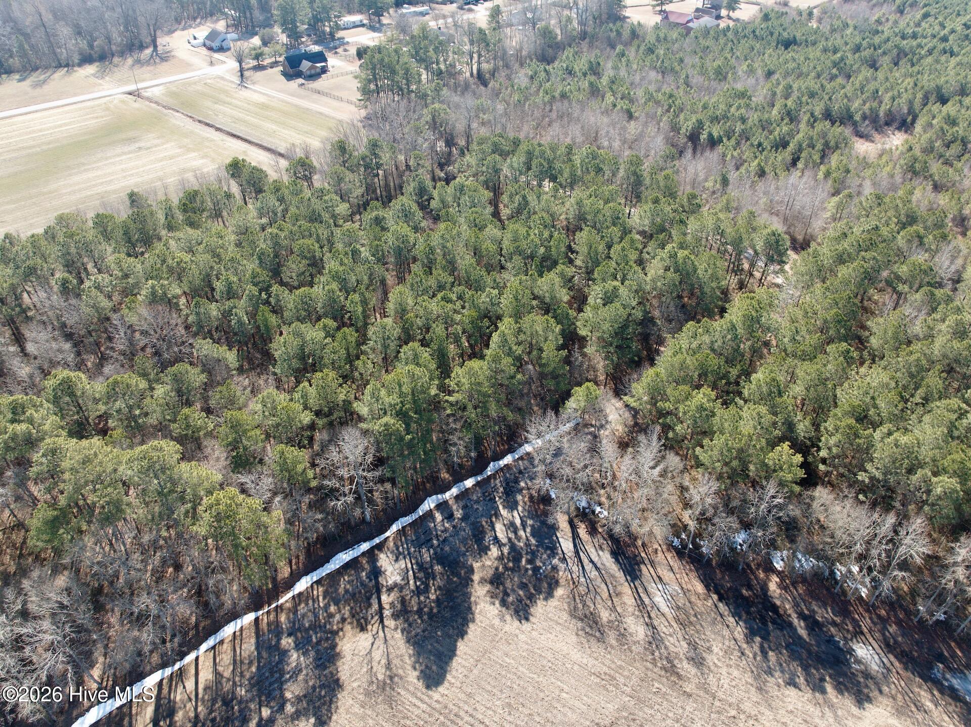 0 Sandy Ridge Road Tyner, NC 27980 - Photo 9 of 43 8