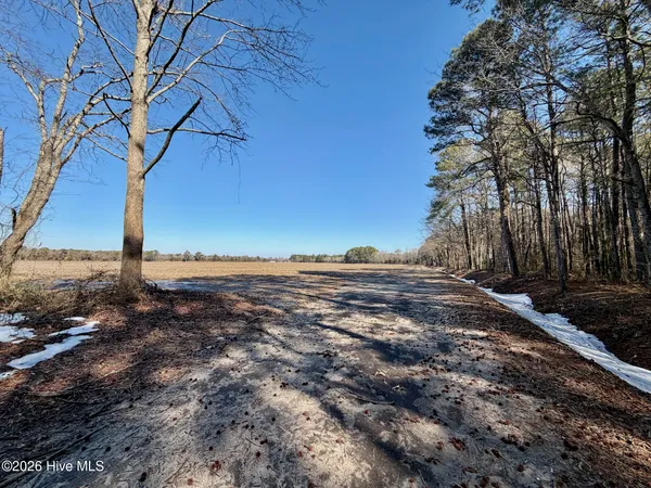 $272,175 | 0 Sandy Ridge Road, Tyner, NC 27980