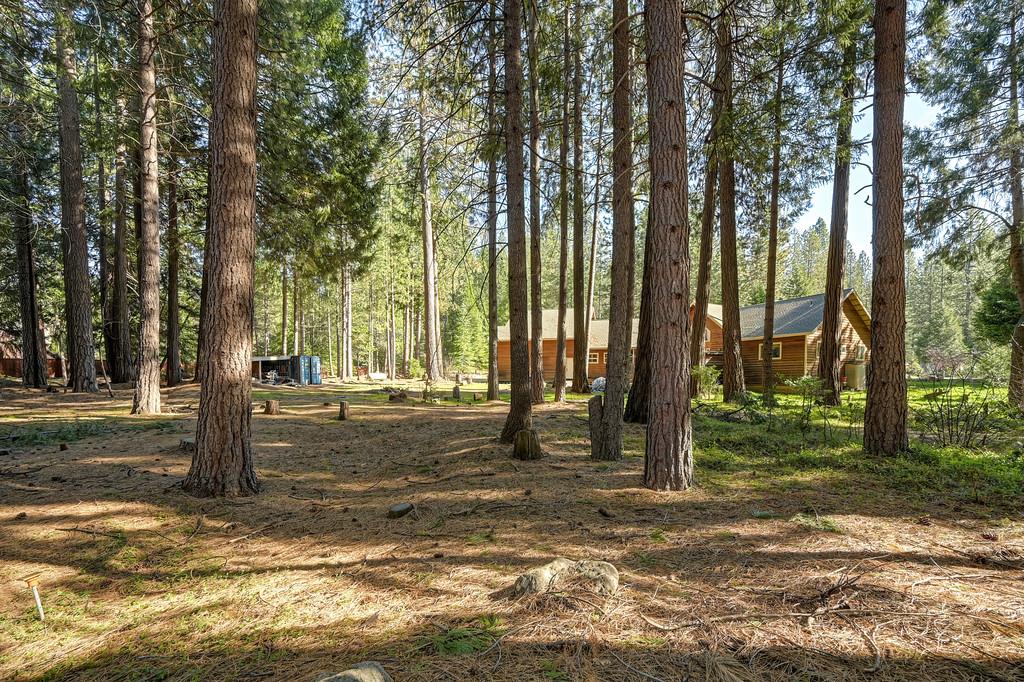 701 Sawmill Road Alta, CA 95701 - Photo 43 of 53 Gallery Image 43