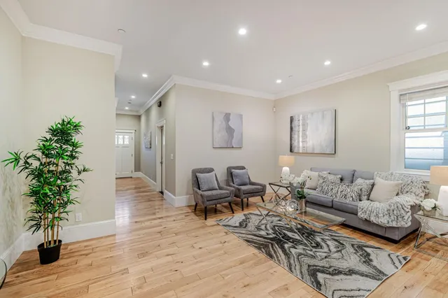 a living room with furniture and a potted plant