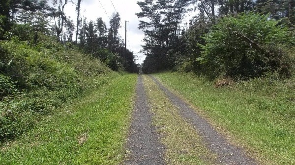 14-3469 Pikake Road Pahoa, HI 96778 - Photo 2 of 2 Gallery Image 2