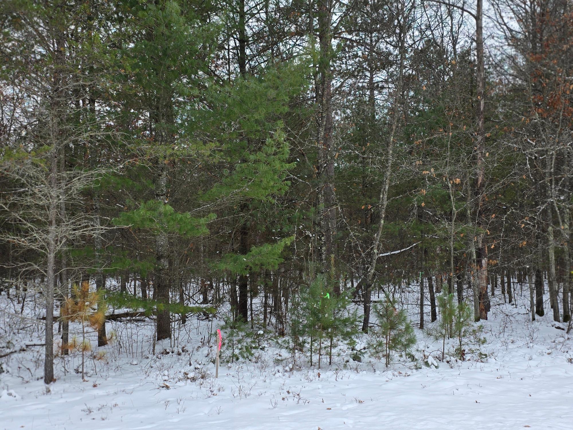 8-9 Ralph Lane Tomahawk, WI 54487 - Photo 3 of 4 Gallery Image 3